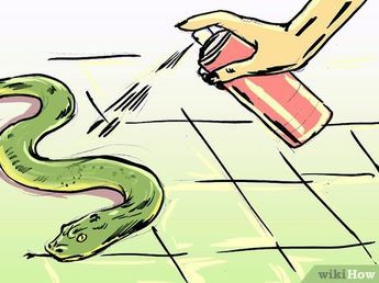 Snake Deterrent Diy, Snake Deterrent, Snake Repellant Plants, Snake Repellant, Snake Repellent, Repellent Diy, Blueberry Gardening, Get Rid Of Bed Bugs, Garden Snakes