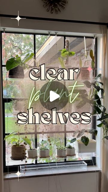 Morgan Phillips | Houseplants + DIY Projects 🪴🖤 on Instagram: "Comment “shelves” for the link 🔗 🫶🏼 Probably the best planty purchase out there and I had them on my wishlist for too long. 🤦🏻‍♀️ I couldn’t imagine having blinds in these windows - I hate blinds! Too much dust 🤢 But this is the perfect solution - an actual win win. All you see from the street is plants and you can find my house easily 😂 and my plants get the best sunlight possible. Would you trade blinds for plant shelves?! ⬇️ #plantaesthetic #moreplantsplease #plantseverywhere #plantblogger #floridablogger #houseplantcare #plantparenthood #myplantlovinghome #plantmom #plantgang #planttips #livingdecor #plantdecor #plantobsessed #junglevibes #ihavethisthingwithplants #plantsmakepeoplehappy#diydecor #windowdisplay #win Plants In Window Ideas, East Facing Window, Jungle Vibes, Love Plants, Windows Me, Plant Aesthetic, House Plant Care, Plant Shelves, Beach Hut