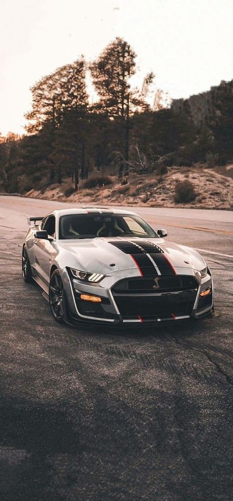 Mustang Aesthetic, Sports Cars Mustang, Ford Mustang Wallpaper, Mobil Mustang, Shelby Gt 500, Luxury Cars Audi, Mustang Wallpaper, Mustang Bullitt, Mustang Gt500