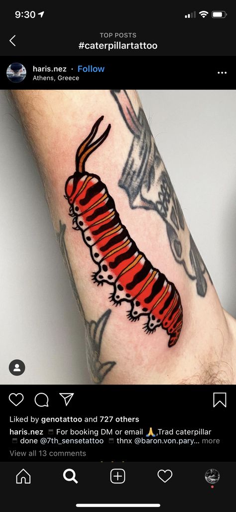 Traditional Bugs Tattoo, American Traditional Insects, Traditional Bug Tattoo Old School, Caterpillar Tattoo Design, Caterpillar Tattoo Traditional, Neo Trad Bug Tattoo, American Traditional Caterpillar Tattoo, Color Bug Tattoo, American Traditional Insect Tattoo