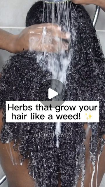 Indian Herbs For Hair Growth, Tea Rinse For Hair Growth, Diy Hair Growth Oil Recipe, Hair Growth Juice, Diy Hair Growth Recipes, Hair Growth Tips For Black Women, Starter Locks, Hair Growth Remedies, Hair Growth Oil Recipe