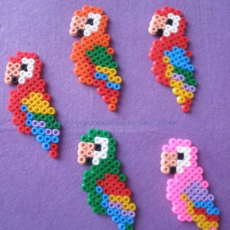 Parrots hama beads by kecosikas: Tropical Perler Bead Patterns, Perler Bead Decorations, Bird Perler Bead Patterns, Embroidery Parrot, Perler Beads Ideas, Hamma Beads Ideas, Easy Perler Bead Patterns, Melty Bead Patterns, Pixel Beads