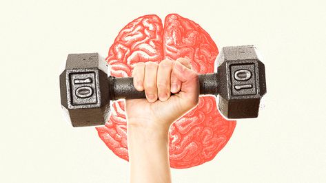 Brain Surgeon, Strength Training Program, Brain Tissue, Brain Boost, Benefits Of Exercise, Healthy Brain, Neurological Disorders, Healthy Eating For Kids, Cardiovascular System