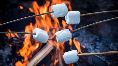 Roasting marshmallows is a summertime rite of passage. But if your marshmallow roasting skills aren't up to par, you may be in for a scorched, sloppy mess rather than a sublime, oozy treat. Sticking your marshmallow directly into or over the flame is the wrong way to do things. Healthy Chip Alternative, Toasting Marshmallows, Marshmallow Roasting Sticks, Cream Dip, Flavored Rice, Filling Food, Roasting Marshmallows, Summer Snacks, Toasted Marshmallow