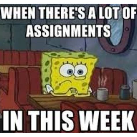 Looking at my assignments this week like: 'I didn't choose the assignment life, the assignment life chose me.' 📚😅 #AssignmentOverload #StudentStruggles#college #university #studentlife #memes #student British Memes, Studying Memes, College Memes, Chose Me, Super Funny Memes, College Humor, Assignment Help, College University, Academic Writing