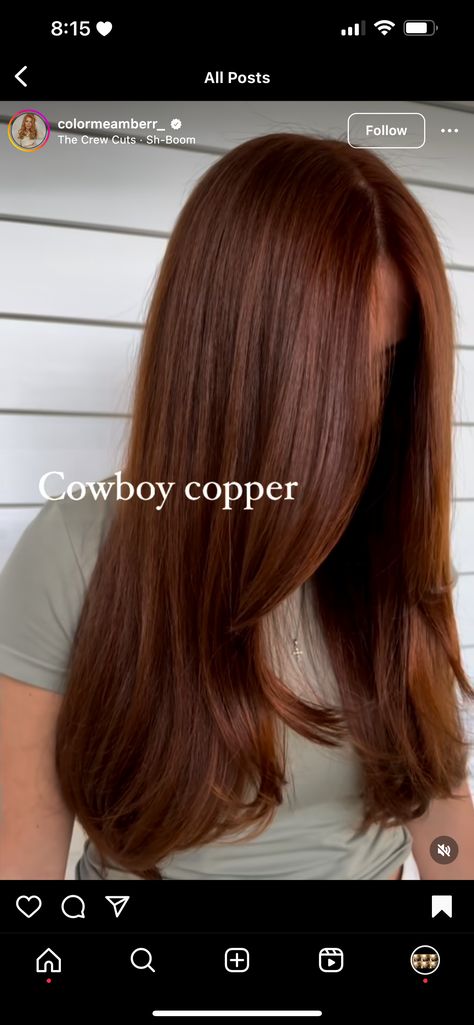 Cowboy Copper, Cherry Hair, Copper Hair, Crew Cuts, Hair Envy, Aesthetic Hair, Hair Inspo, Hair Inspiration, Cowboy