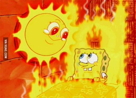 San Diego's relationship with the sun today. - 9GAG Waving Gif, Solar Powered Fan, Summer Gif, Woke Up This Morning, Spongebob Squarepants, Hot Weather, Meme Pictures, New Memes, Pluto The Dog