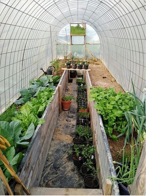 Hobbit Greenhouse, Cute Mc Builds, Dorm Wall Decor Ideas, Cubicle Style, Cozy Cubicle, Mc Builds, Vegetable Garden Planner, Esthetician Room, Diy Raised Garden