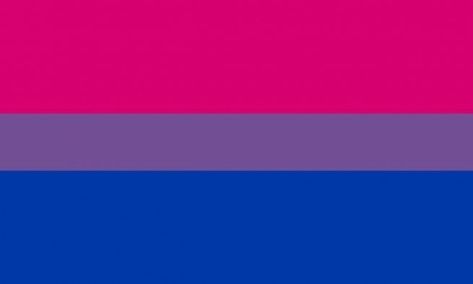 Bisexual can be used as both an umbrella term and a singular identity. It refers to those attracted to two or more genders. Some bisexuals may have preference, others may not, how ever it's still valid Bisexual Pride Flag, Bi Flag, Black Dude, Gay Outfit, Lgbtq Flags, Free Anime, Pride Flag, Gay Art, Nature Prints