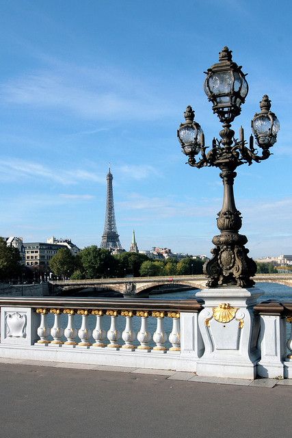 Paris Travel Photography, Pont Alexandre Iii, Beautiful Lamp, Paris Travel, Tourist Destinations, Owl House, Statue Of Liberty, Lamp Post, Travel Photography