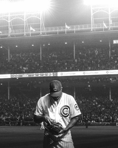 Cubs Wallpaper, Snap Photos, Grey Aesthetic, Black And White Images, Photos Of People, Baseball Pictures, Buster Posey, Cubs Baseball, Chicago Photography