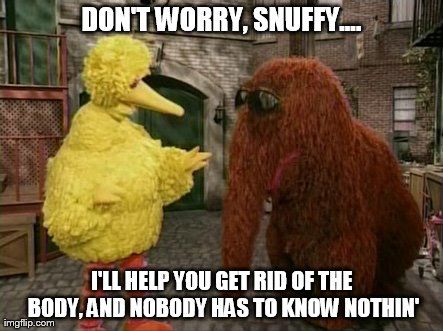 Big bird meme Sesame Street Books, Fraggle Rock, Food Memes, Elephant Trunk, Full Name, Jim Henson, Big Bird, Meme Template, Normal Life