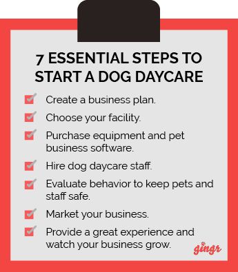 Dog Daycare Business Plan, Doggy Day Care Ideas, Doggy Daycare Ideas, Dog Daycare Ideas, Doggy Daycare Business, Dog Boarding Facility Ideas, Dog Daycare Design, Pet Shop Logo Design, Dog Boarding Ideas