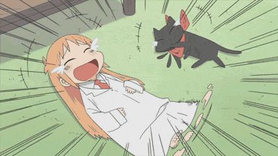 (>.<) Aho Girl, Anime Recommendations, Animation Reference, Anime Cat, Cat Gif, Anime Images, Anime Memes, Anime Icons, Anime Guys