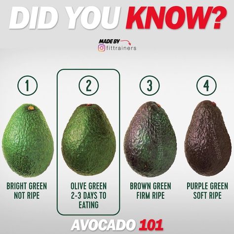 🔴 #AVOCADO 101🔴 by @fittrainers⠀ ⠀⠀ Want to learn how to pick the perfect #avocado ❤? Let’s dive in!⠀ ⠀ 1. Each varietal will have slight variations in color throughout the ripening process. Light,... Avocado Infographic, Dr Vegan, Fat Loss Foods, Vegan Meal, Healthy Nutrition, Healthy Meal Prep, Nutrition Tips, Smoothie Diet, Diet Tips