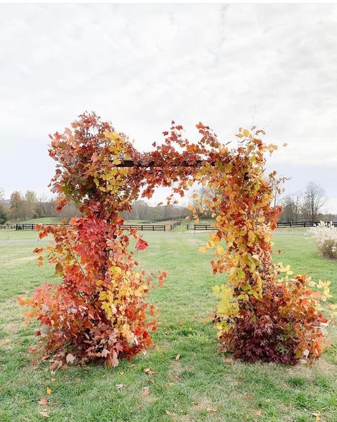 Pumpkin Patch Photoshoot, Bridal Bouquet Spring, Wedding Ceremony Arch, Ceremony Arch, Love Fall, Floral Arch, Wedding Aisle, Wedding Flower Arrangements, Wedding Mood