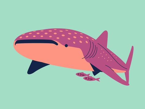 Whale Shark Pixel Art, Whale Shark Art Cute, Whale Shark Illustration, Shark Pixel Art, Whale Shark Aesthetic Art, Fish Animation, Shark Animation, Whale Shark Illustration Cute, Whale Animation