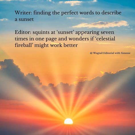 #mememonday Are you struggling to come up with the perfect words in a snippet of writing? You're excited to share these tidbits with your fans and start populating your Blog with engaging content... Tell me if this resonates? Writer: finding the perfect words to describe a sunset. Editor: squints at 'sunset' appearing seven times in one page and wonders if 'celestial fireball' might work better. (image description: a beautiful sunset is the background to these words: "Writer: finding t... Image Description, Engaging Content, Perfect Word, Words To Describe, First Page, Beautiful Sunset, Tell Me, Editorial, Wonder