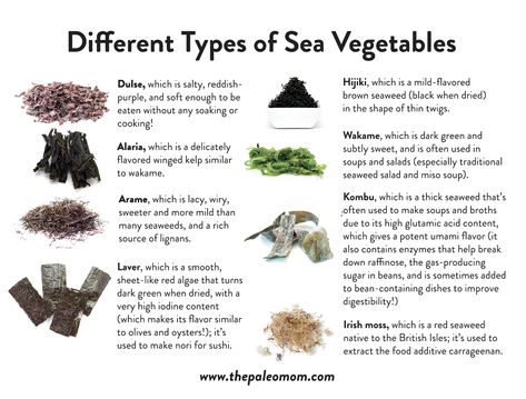 The Health Benefits of Sea Vegetables ~ The Paleo Mom Sea Vegetables Recipes, The Paleo Mom, Menstrual Phase, Edible Seaweed, Vegetable Diet, Paleo Mom, Low Estrogen Symptoms, Food Fish, Healthy Wealthy