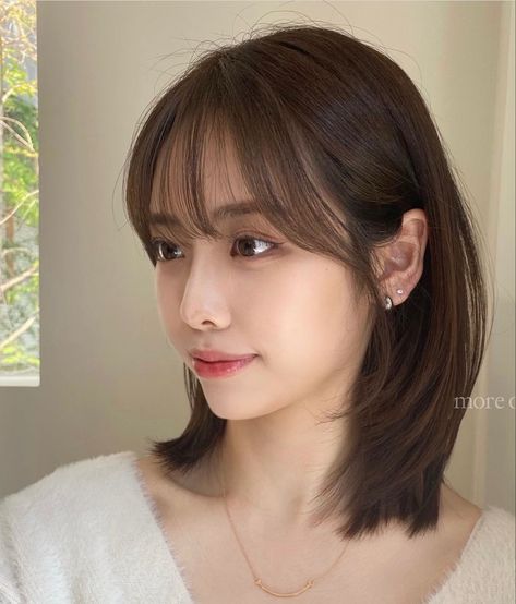 Korean Medium Hair Straight, Short Hair With Light Bangs, Short Hairstyles Shoulder Length, Korean Short Hairstyle, Hair Color Underneath, Short Hair Images, Korean Short Hair, Music Instagram, Hair Inspiration Long