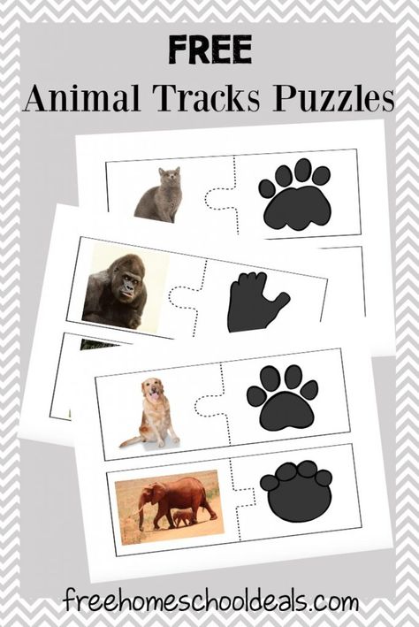 This is a post by Free Homeschool Deals contributor, Tara at Embark on the Journey.  My daughter loves animals of all kinds. For three years, we studied anima Animal Footprints, Animal Tracks, Animal Activities, Free Homeschool, Preschool Science, Winter Animals, Camping Theme, Math Worksheet, Montessori Activities