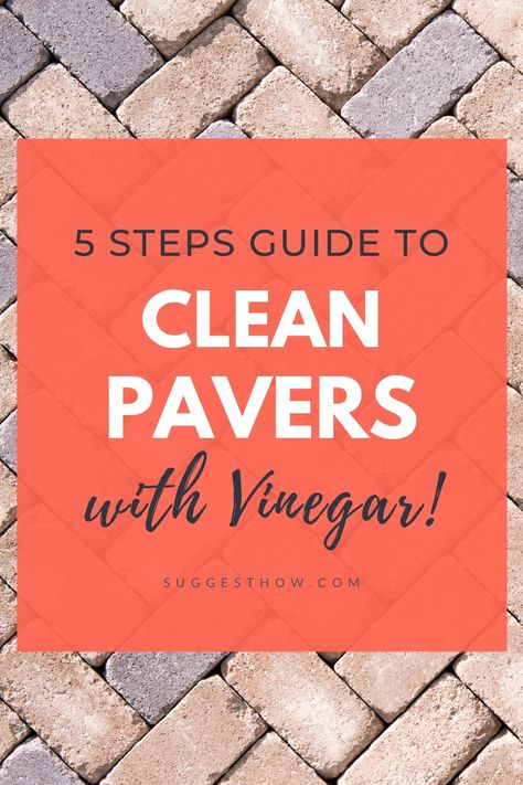 You always expect your patio paver or driveway to stay shiny and clean. Among different methods, using vinegar has become popular to clean pavers stones and bricks. So, how to clean pavers with vinegar? Although there are various ways, we have chosen the best way to clean pavers most efficiently. Follow these 5 steps guide for an amazing result. #homehacks #cleaning #DIY #home How To Clean Brick Exterior, How To Clean Brick Steps, How To Clean Pavers Patio, Brick Cleaner Outdoor, Remove Weeds From Pavers, Pool Patio Pavers, Cleaning Pavers, Grey Pavers, Paver Sand