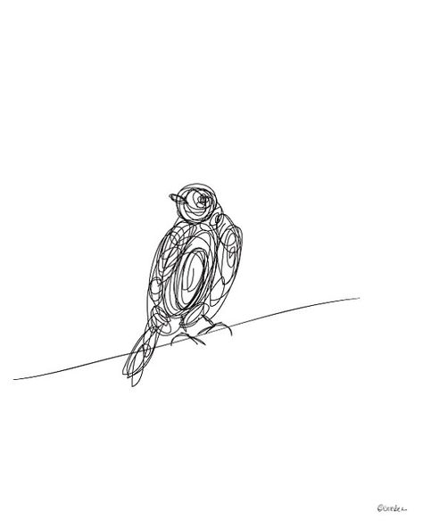 Bird Illustrated Line 2  Digital Drawing by ModernSouth on Etsy, $18.00 Bird Line Drawing, Pen Techniques, Wildlife Illustration, Bird Illustrations, Birds On A Wire, Visual Elements, Bird Drawing, Continuous Line Drawing, Bird Supplies