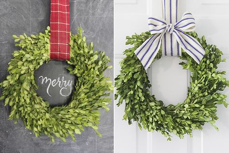 Boxwood Wreath Ideas, Boxwood Wreath Front Door, Boxwood Wreath Decor, Boxwood Wreath Christmas, Lavender Wreath, Holly Wreath, Boxwood Wreath, Diy Fall Wreath, Festive Holiday Decor