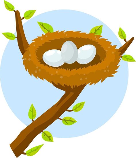 Nest and egg. Bird house. Place for Chicks. Tree branch with leaves. Cartoon flat illustration. element of nature and forests. Wildlife. Blue background Blackberry Tree, Nest Illustration, Tree Branch With Leaves, Leaves Cartoon, Branch With Leaves, Cartoon Trees, Background Blue, Elements Of Nature, Cartoon Background