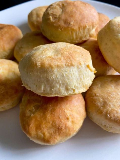 Easy Few Ingredient Biscuits - The Modern Nonna Homemade Breakfast Sausage Recipe, The Modern Nonna, Modern Nonna, Lemon Shrimp Pasta, Easy Biscuits, Portuguese Sweet Bread, Easy Biscuit, Homemade Breakfast Sausage, Cheesy Biscuit