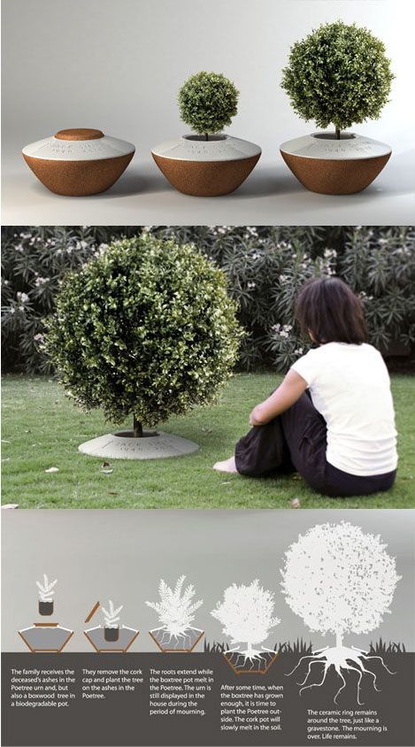 The Poetree - A Funeral Urn That Lets You Plant A Tree From Ashes. What a beautiful, eco friendly tribute! A memorial tree planter with ceramic ring marker. Tree Planters, Memory Tree, Cremation Ashes, Memorial Garden, Tree Hugger, After Life, Growing Tree, Celebration Of Life, Cemetery