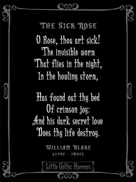 Dark Gothic Poems And Quotes by @quotesgram Gothic Poems, Gothic Quotes, Goth Quotes, Edgar Allan Poe Quote, Goth Memes, Poe Quotes, Dark Evil, Romantic Goth, William Blake