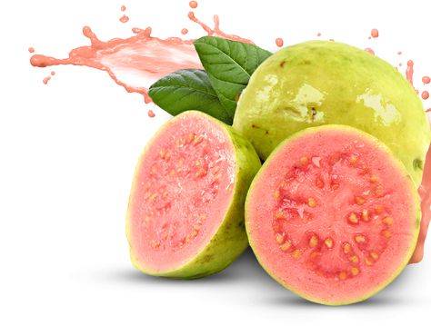 Guava Images, Guava Benefits, Homemade Mouthwash, Guava Leaves, Guava Fruit, Healthy Fiber, Guavas, Pink Guava, Vegetable Illustration