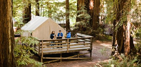 Cazadero Music Camp Music Camp, Music Practice, Summer Camps, Make Friends, Family Camping, Making Friends, Summer Camp, Cabin, Camping