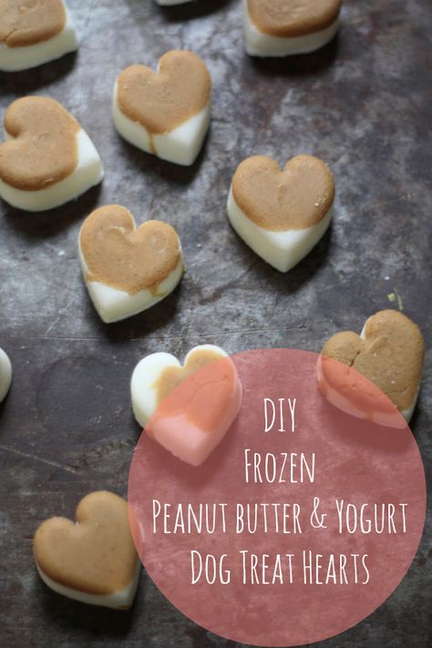 Peanut Butter Yogurt, Dog Treats Homemade Easy, Frozen Dog Treats, Frozen Dog, Food Dog, Diy Dog Treats, Diy Treats, Puppy Treats, Dog Cookies