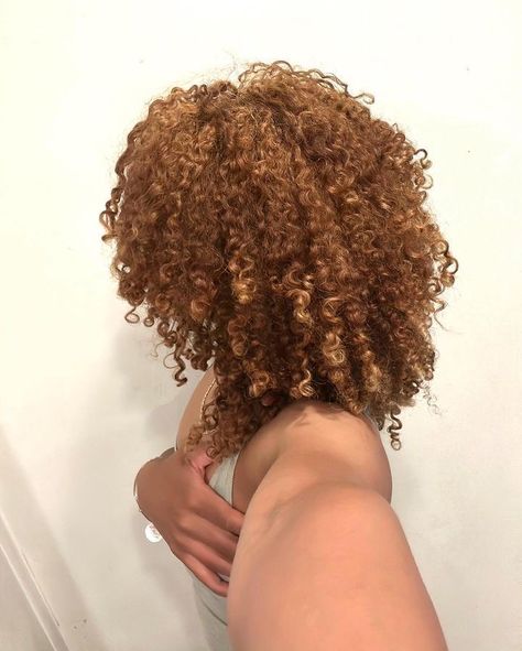 Light Brown Ginger Curly Hair, Light Brown Hair Black Women Natural, Honey Brown Natural Hair Black Women, Honey Brown Curly Hair Black Women, Dyed Brown Hair Black Woman, Honey Blonde Ginger Hair, Light Ginger Curly Hair, Light Brown Short Curly Hair, Curly Ginger Hair Aesthetic