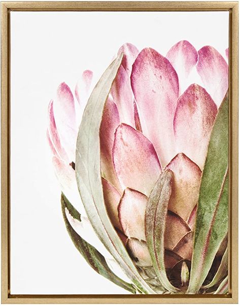 Pink Protea, Protea Art, Airbnb Decor, Flower Duvet Cover, Flower Duvet, Protea Flower, Flowers Background, Framed Canvas Wall Art, Wedding Flower