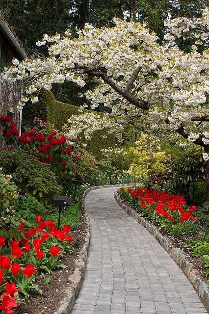 Butchart Gardens, Victoria British Columbia, Garden Path, Garden Pathway, Gorgeous Gardens, Garden Cottage, Spring Garden, Garden Paths, Dream Garden