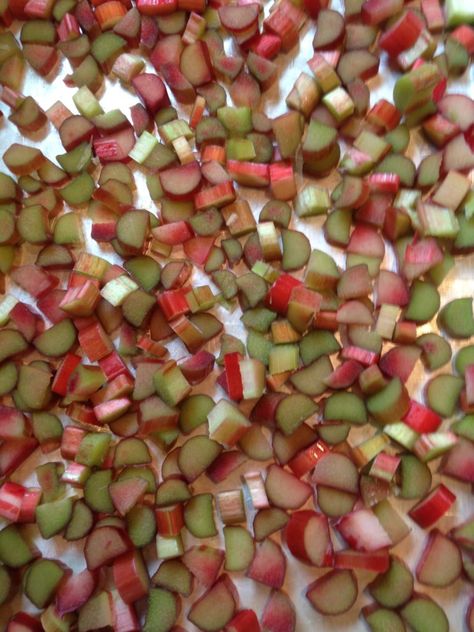 Frozen Rhubarb Recipes, Can You Freeze Rhubarb, Rhubarb Squares, Rhubarb Cake Recipes, Rhubarb Rhubarb, Freeze Rhubarb, Freezing Fruit, Freezing Vegetables, First Signs Of Spring