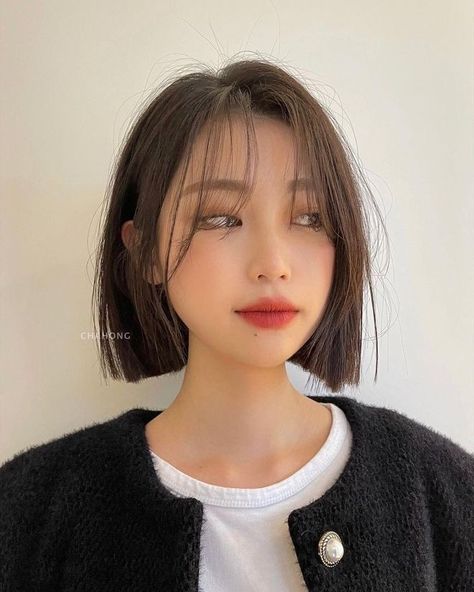 Short Fine Bob Hairstyles, Korean Short Haircut, Korean Short Hair, Chin Length Hair, Asian Short Hair, Hair Inspiration Short, Shot Hair Styles, Short Straight Hair, Haircuts Straight Hair