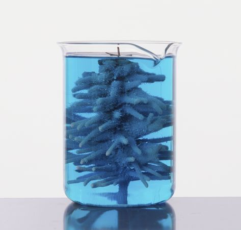 In this simple chemistry demonstration you'll grow a silver crystal tree. It's the perfect chemistry project for Christmas! Cool Chemical Reactions, Christmas Chemistry, Chemistry Christmas, Copper Christmas Tree, Chemistry Project, Chemistry Projects, Growing Crystals, Copper Christmas, Country Fried