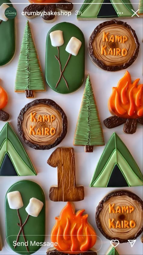 Camp Cookies Royal Icing, Camping Birthday Cookies Decorated, Camping Theme Cookies Decorated, S’mores Royal Icing Cookies, Campfire Birthday Party Decorations, Outdoor Themed Cookies, Campfire Theme Birthday Party, Camp Theme Cookies, Camping Cookies Royal Icing