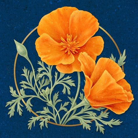 California Poppy Botanical Illustration, California Poppy Illustration, California Poppy Drawing, Bobcat Painting, Californian Poppies, California Poppy Flower, California Poppy Art, Native Landscaping, Surface Pattern Design Inspiration