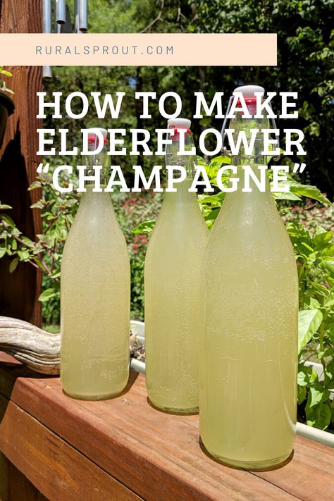 A glass of bubbly elderflower champagne is the perfect way to welcome in summer. Here's how to make it. Elderflower Wine, Elderflower Recipes, Elderflower Champagne, Wine Making Recipes, Champagne Recipe, Elderberry Recipes, Edible Flowers Recipes, Summer Traditions, Foraging Recipes