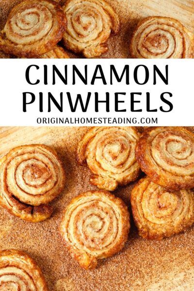 Pie Crust Cinnamon Pinwheels | A Rich Pastry Cookie Pinwheel Pastry Recipes, Pie Crust Pinwheel Cookies, Pie Crust Cinnamon Pinwheels, Cinnamon Pinwheel Cookies, Pie Crust Cinnamon Twists, Pecan Pinwheels Recipe, Pie Crust Pinwheels, Dessert Pinwheels, Pecan Pinwheels