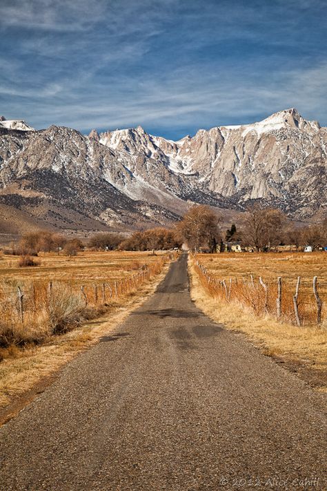 country road near Lone Pine | by alicecahill Lone Pine California, Buddha Garden, Lone Pine, Go Usa, Senior Project, Road Trippin, Sierra Nevada, Country Road, California Travel