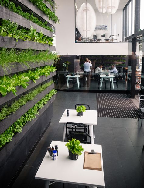 Everything you need to know about living walls. This type of system requires a qualified green wall professional who will select the correct plants, set up an integrated watering and drainage system and water-proof the backing wall. Hydroponic Living Wall, Foyer Feature Wall, Hydroponic Wall, Live Walls, Living Green Wall, Green Wall Design, Vertical Garden Indoor, Vertical Garden Design, Green Facade