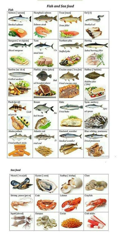 American Foods, Culinary Cooking, Food Vocabulary, Food Infographic, Food Info, Cooking Basics, Delicious Dishes, Sea Food, Interesting Information