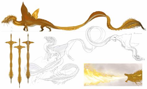 Dragon Concept, Dnd Dragons, Dragon City, Cool Dragons, New Dragon, Gold Dragon, Dragon Artwork, Creature Concept Art, Dragon Design