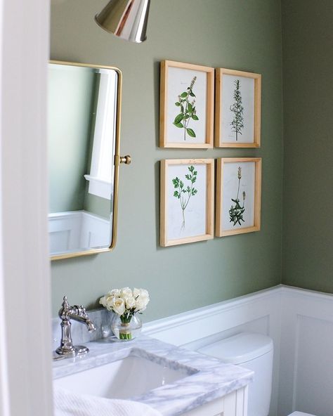 Farrow & Ball on Instagram: “"Just the statement this little room needed." – @theeverygirl co-founder @alainakaz on painting her powder room #Lichen, the perfect muted…” Inspiration Wc, Green Powder Room, Gray Interiors, Downstairs Toilet, Powder Room Design, Bathroom Paint Colors, Toilet Room, Green Bathroom, Bathroom Renos